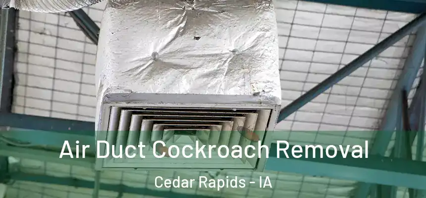 Air Duct Cockroach Removal Cedar Rapids - IA