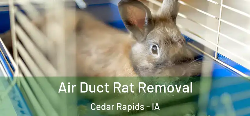 Air Duct Rat Removal Cedar Rapids - IA