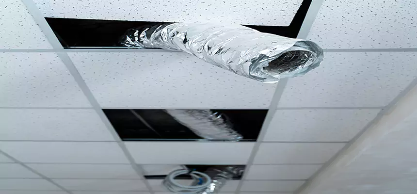 Affordable HVAC Sanitizing After Pest Removal in Cedar Rapids