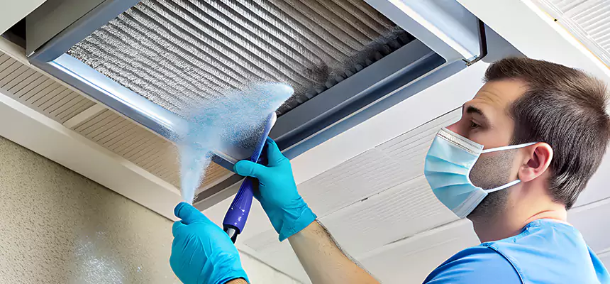 Proactive Dryer Vent & Auxiliary Duct Pollen Cleanup in Cedar Rapids, IA