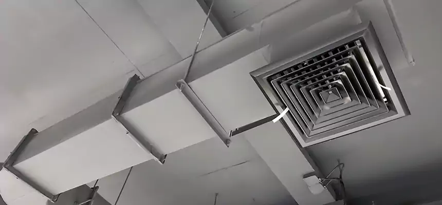 Our Pest Removal From Ducts Services in Cedar Rapids, IA