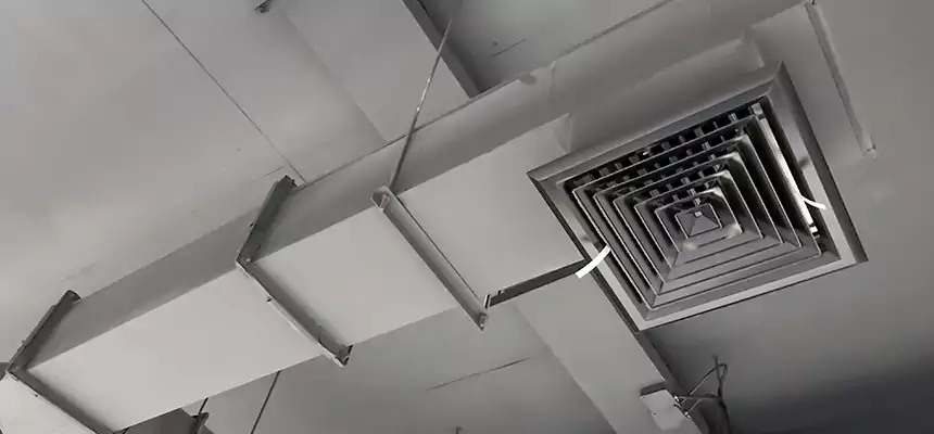 Our Rodent Droppings In Vents Services in Cedar Rapids, IA