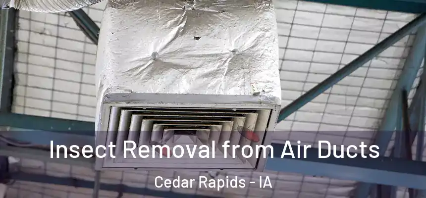  Insect Removal from Air Ducts Cedar Rapids - IA
