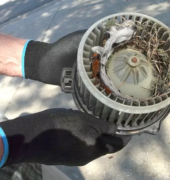 About Air Duct Mice Removal in Cedar Rapids, IA