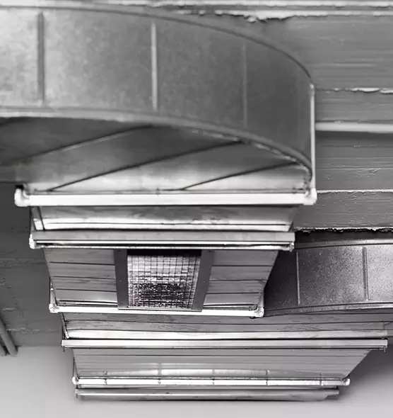 Professional Air Duct Pest Removal in Cedar Rapids, IA