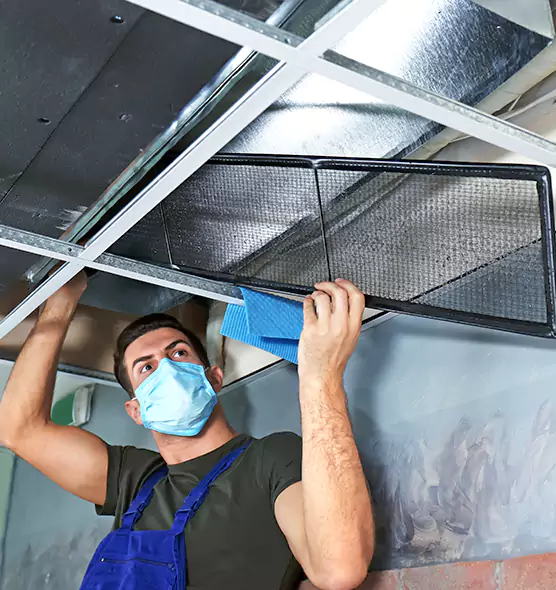 Professional Air Duct Pollen Cleaning in Cedar Rapids, IA