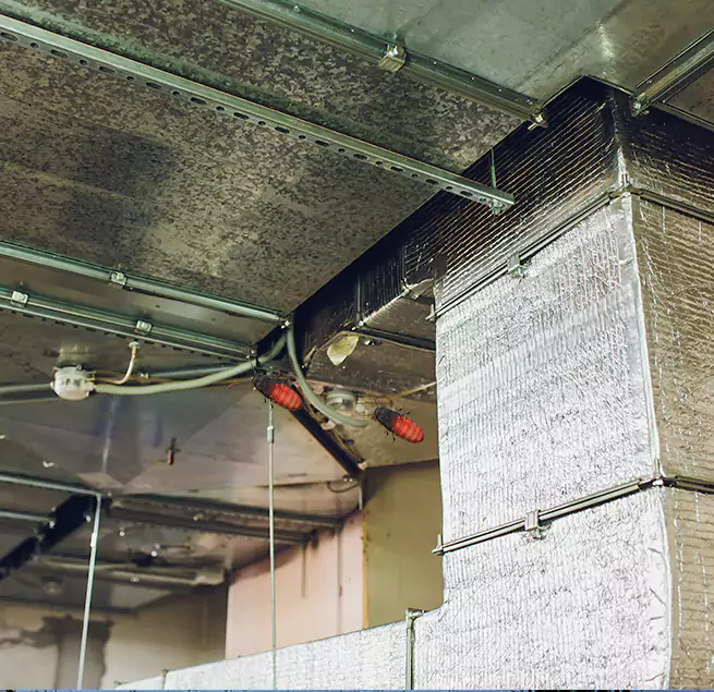 Why Homeowners & Businesses Trust Us in Cedar Rapids, IA?