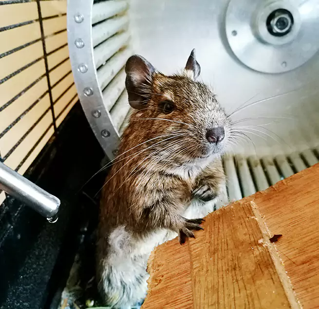 Why Homeowners & Businesses Trust Us Cedar Rapids, IA