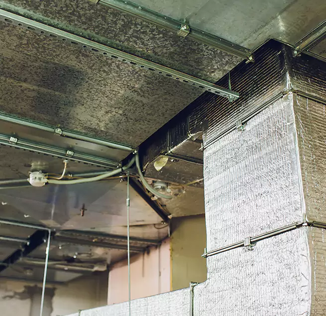 Why Homeowners & Businesses Trust Us in Cedar Rapids, IA?