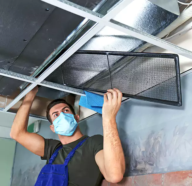 Why Homeowners Businesses Trust Us in Cedar Rapids, IA